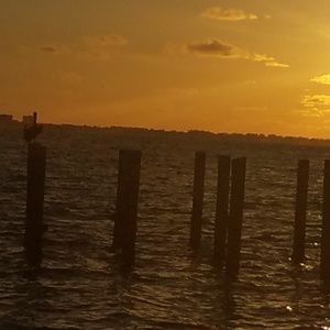 Meet your Posher, Phyllis